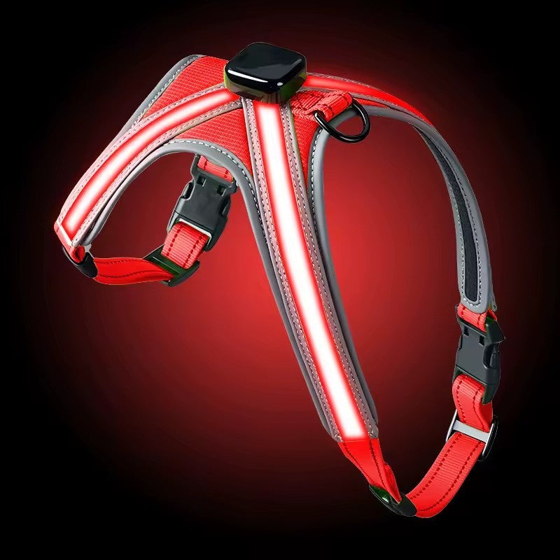 USB RECHARGEABLE Led Dog HARNESS ( Glow Flashing Light-Up Night Safety)