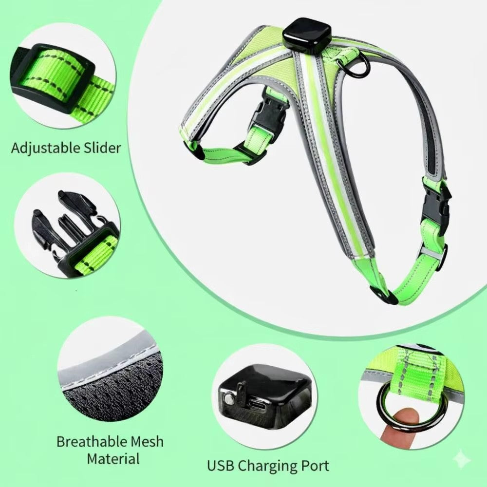USB RECHARGEABLE Led Dog HARNESS ( Glow Flashing Light-Up Night Safety)