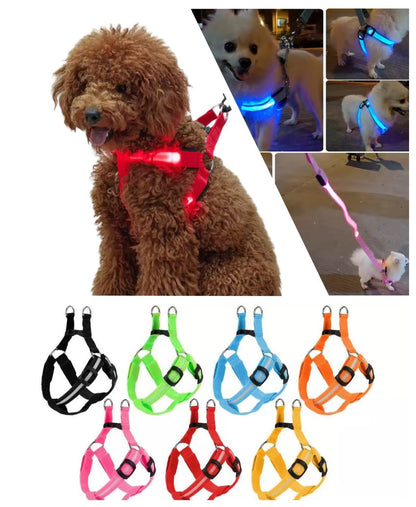 USB RECHARGEABLE Led Dog HARNESS ( Glow Flashing Light-Up Night Safety)