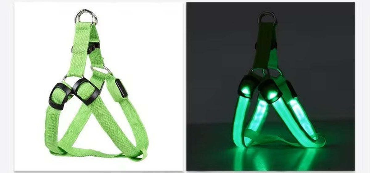 USB RECHARGEABLE Led Dog HARNESS ( Glow Flashing Light-Up Night Safety)