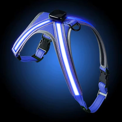 USB RECHARGEABLE Led Dog HARNESS ( Glow Flashing Light-Up Night Safety)