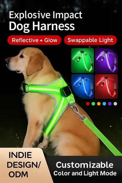 USB RECHARGEABLE Led Dog HARNESS ( Glow Flashing Light-Up Night Safety)