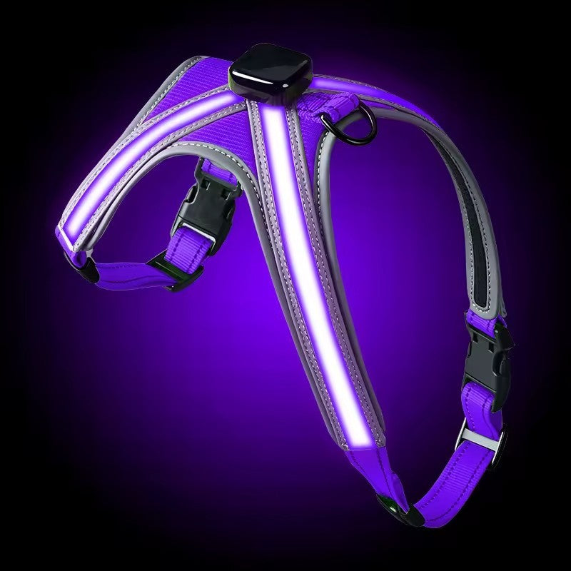 USB RECHARGEABLE Led Dog HARNESS ( Glow Flashing Light-Up Night Safety)