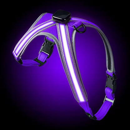USB RECHARGEABLE Led Dog HARNESS ( Glow Flashing Light-Up Night Safety)