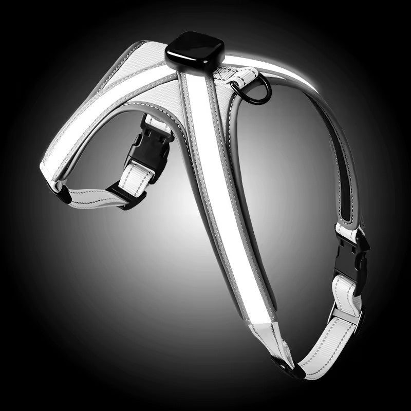 USB RECHARGEABLE Led Dog HARNESS ( Glow Flashing Light-Up Night Safety)