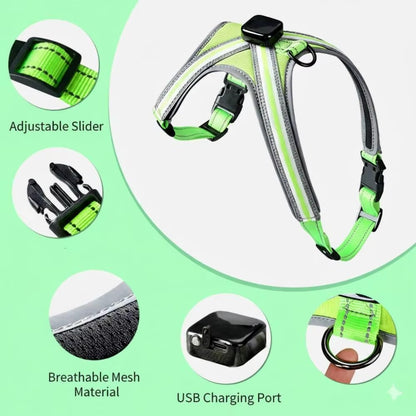 USB RECHARGEABLE Led Dog HARNESS ( Glow Flashing Light-Up Night Safety)