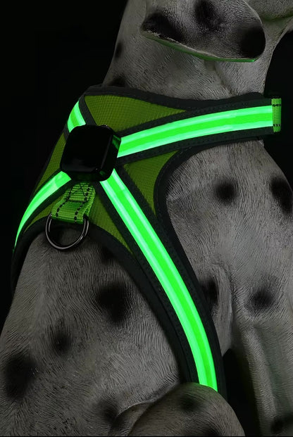 USB RECHARGEABLE Led Dog HARNESS ( Glow Flashing Light-Up Night Safety)