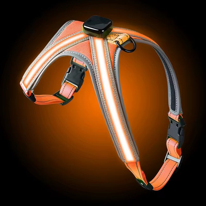 USB RECHARGEABLE Led Dog HARNESS ( Glow Flashing Light-Up Night Safety)
